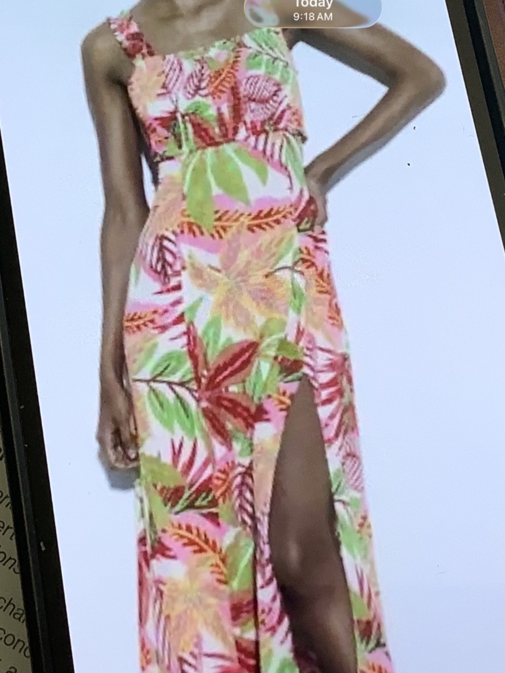 Zara Botanical Print  Maxi Dress